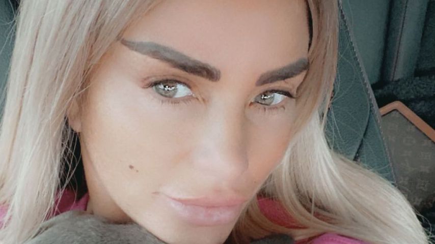 Online-Petition fordert ein Haustierverbot für Katie Price