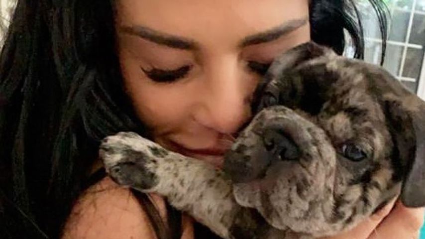 Katie Price und Welpe Rolo