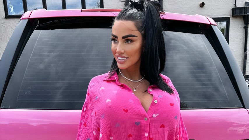 Katie Price, Reality-TV-Bekanntheit