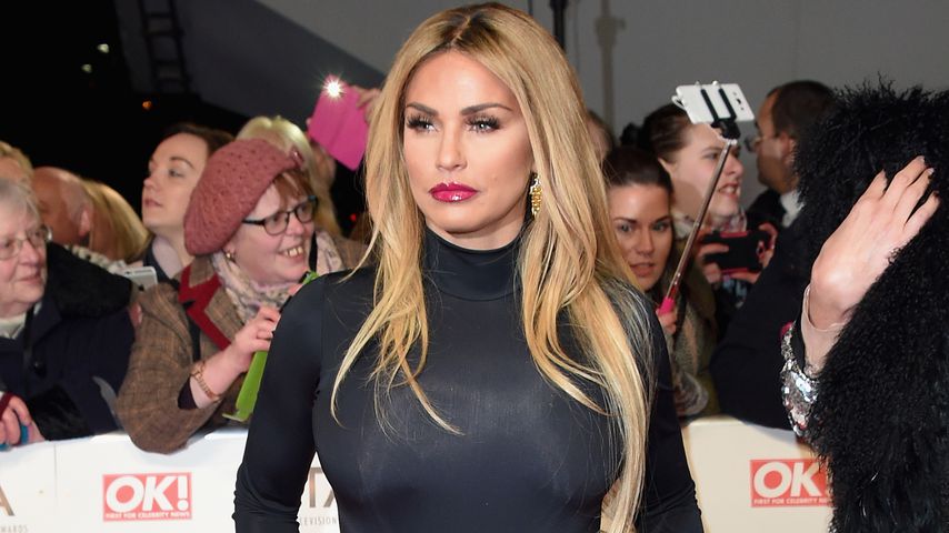 Katie Price, Reality-TV-Star