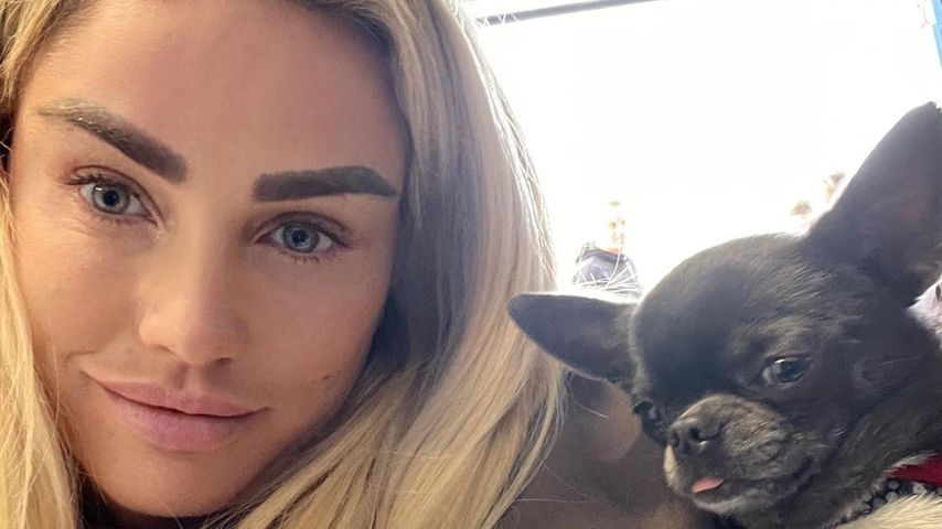 Katie Price, britische TV-Bekanntheit