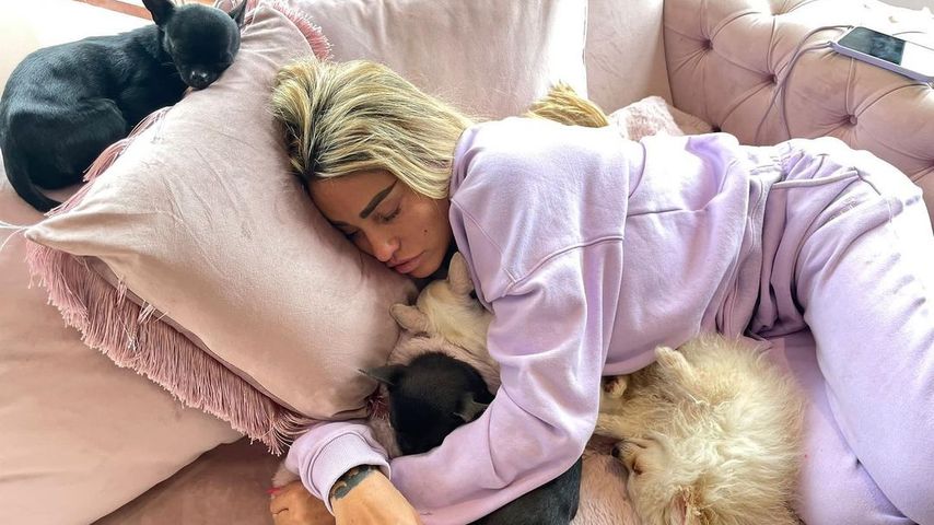 Tragischer Tod: Katie Prices Hund wird von Auto überfahren