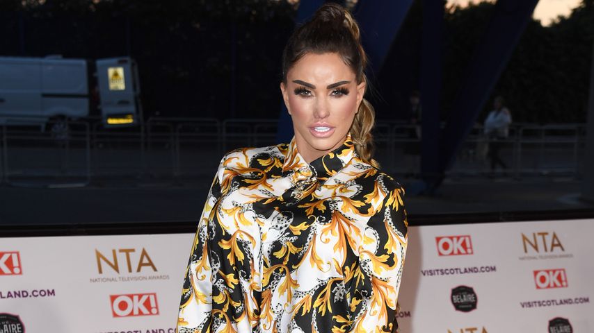Katie Price, TV-Bekanntheit