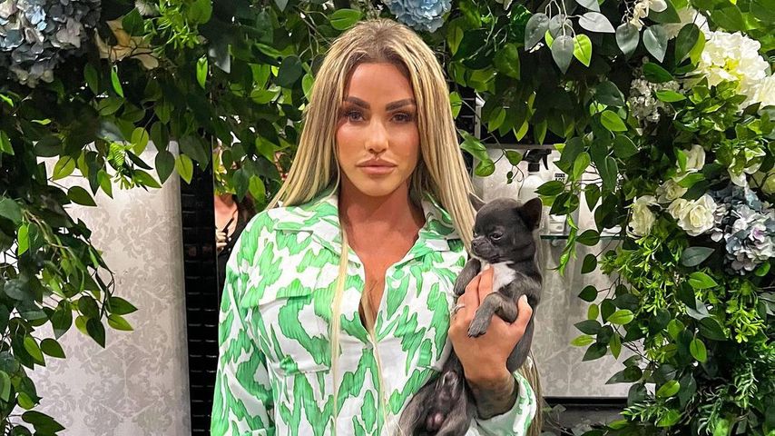 Katie Price, Reality-TV-Star
