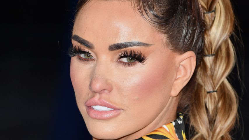 Katie Price, TV-Star