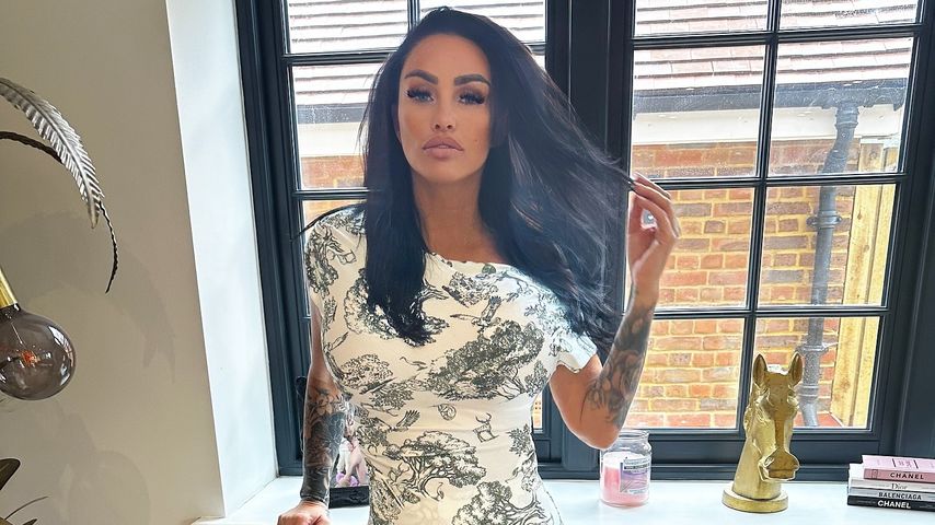 Katie Price, Model