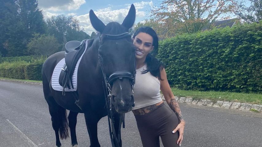 Katie Price, TV-Bekanntheit