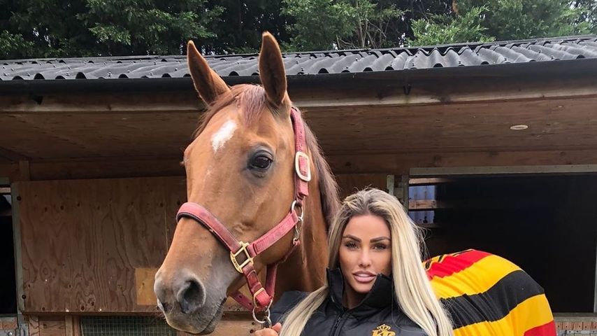 Katie Price, britischer Reality-Star