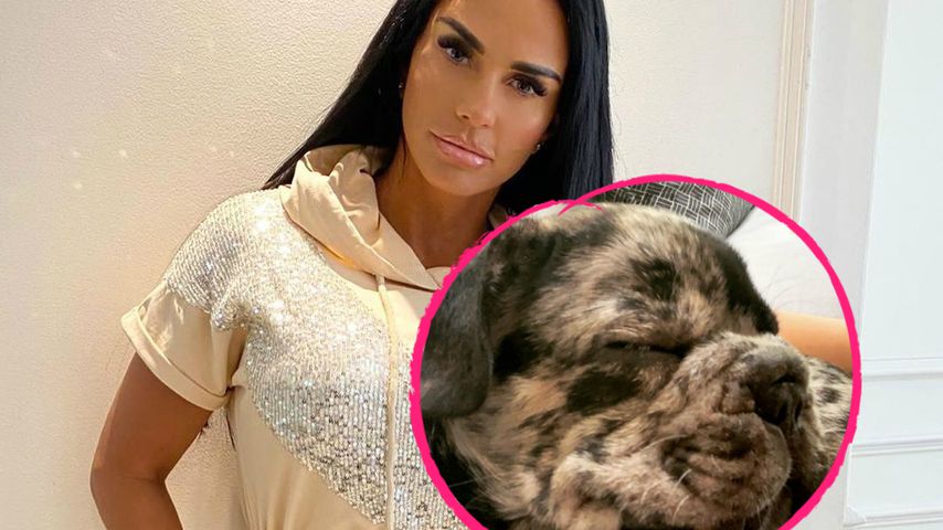Katie Price' Tochter total traurig: Ihr Welpe Rolo ist tot