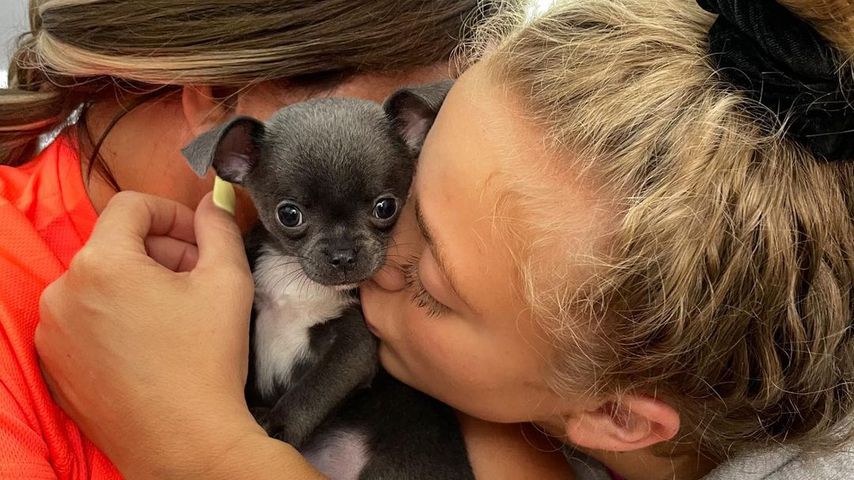 Katie Price und Princess mit ihrem neuen Hund