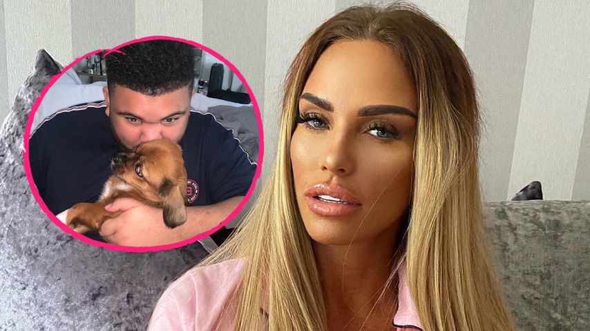 Nach Tod ihres Hundes: Katie Price begrüßt neue Fellnase