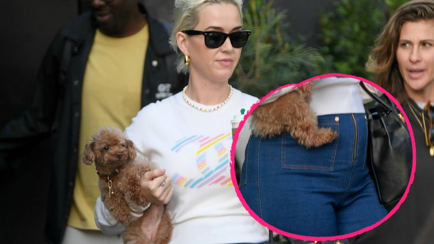 Fans vermuten bei Paparazzi-Foto: Ist Katy Perry schwanger?