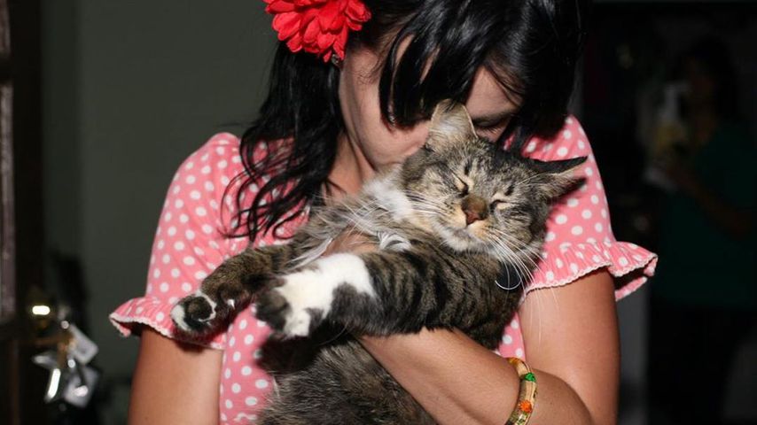 Katy Perry und ihr Haustier Kitty Purry