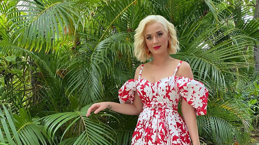 Katy Perry, Musikerin