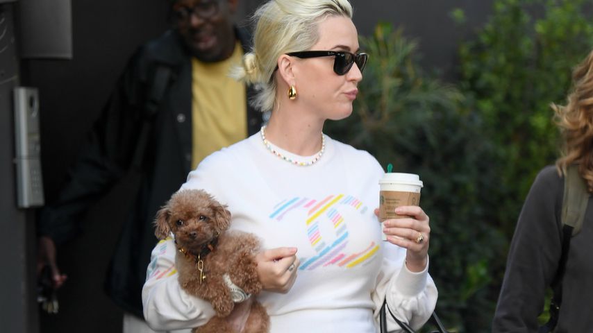 Katy Perry, Januar 2020