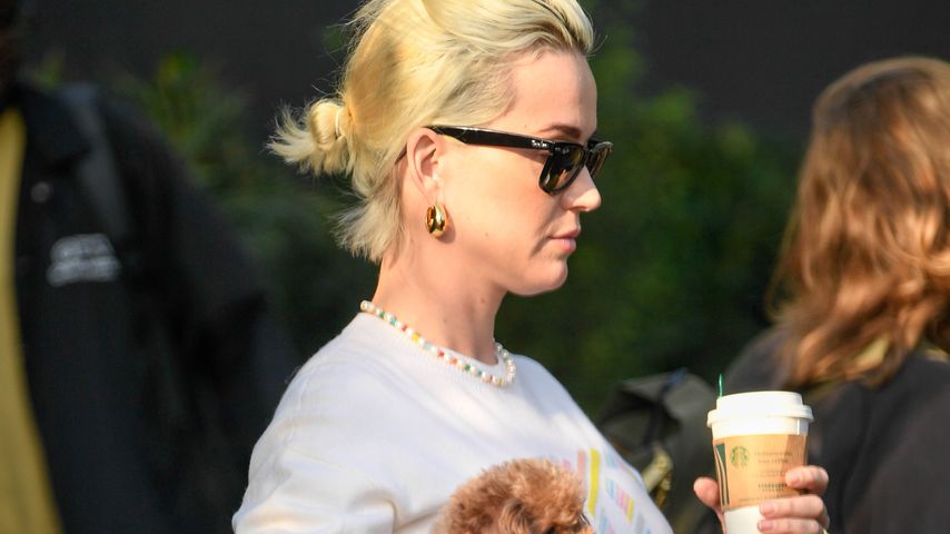 Katy Perry, Januar 2020