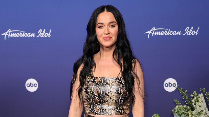 Katy Perry, Sängerin