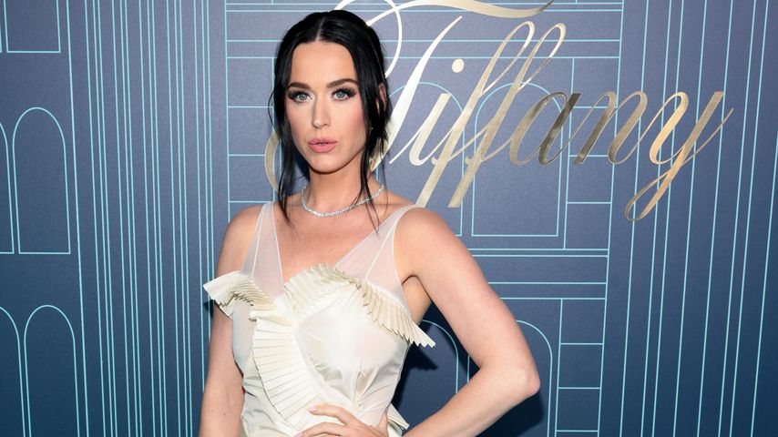 Katy Perry, Sängerin