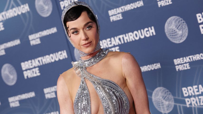 Katy Perry, Sängerin