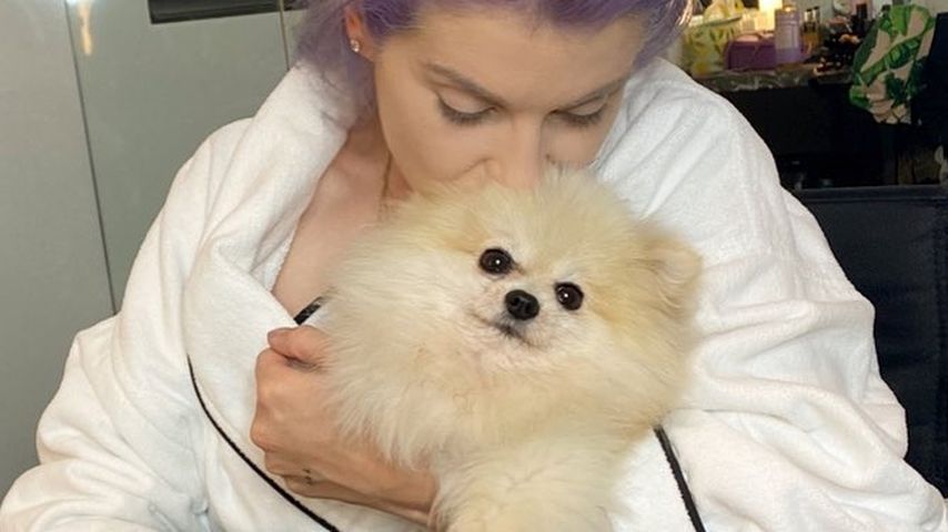 "Kaum geatmet": Kelly Osbourne bangt um ihren Hund Polly!