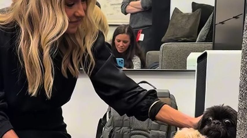 Kelly Ripa und ihre Hunde Javi und Lena