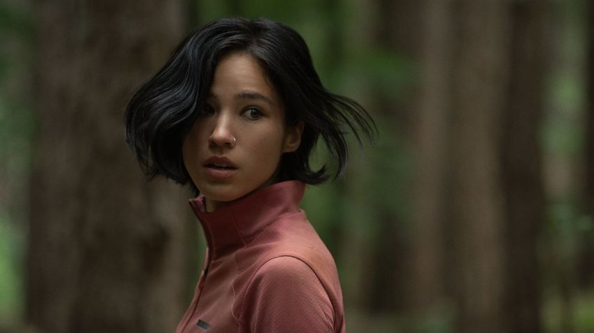 Netflix-Charts: Diese Filme sind aktuell richtig im Trend