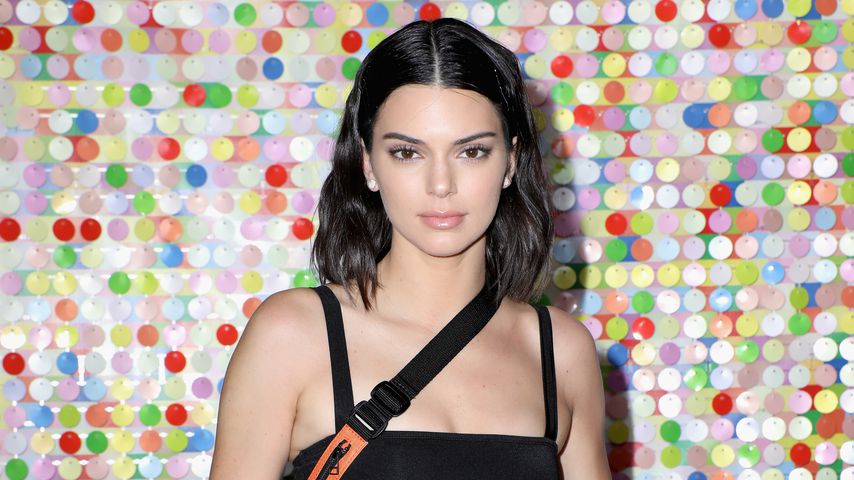 Kendall Jenners Stalker bleibt nicht lange hinter Gittern!