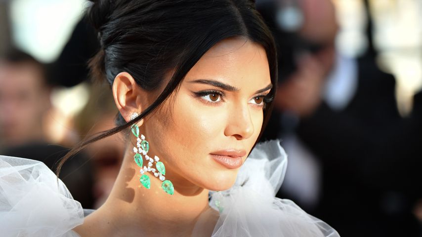 Hat Kendall Jenner ihr "Black-Lives-Matter"-Foto gefälscht?