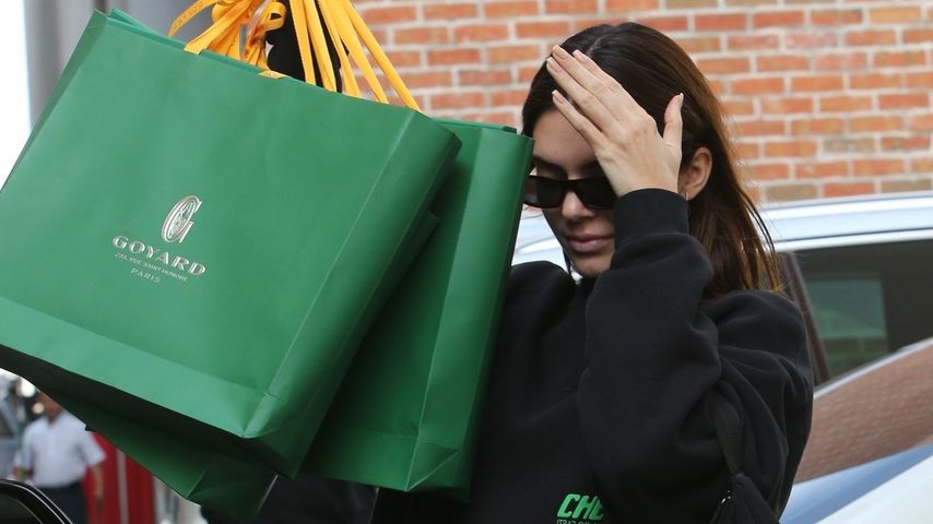Kendall Jenner, Dezember 2019