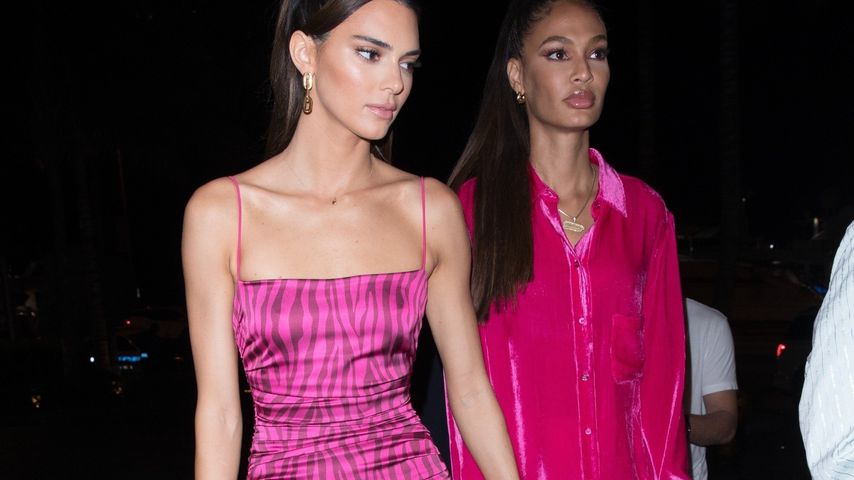 Wilder Style: Kendall Jenner feiert in pinkem Animal-Print