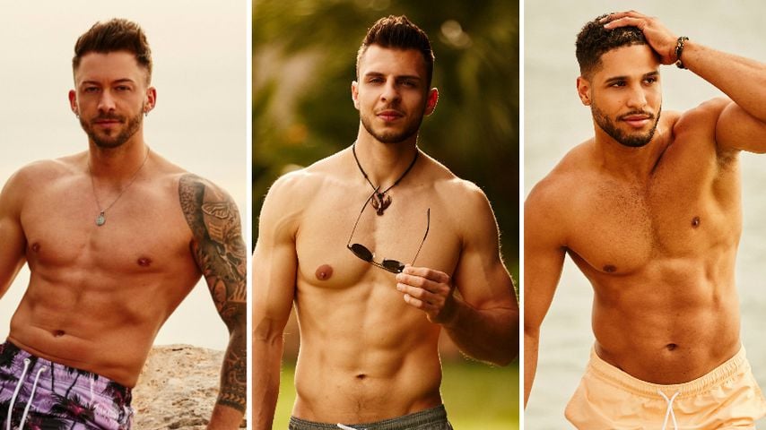 Collage: Keno Rüst, Tim Stammberger und David Taylor