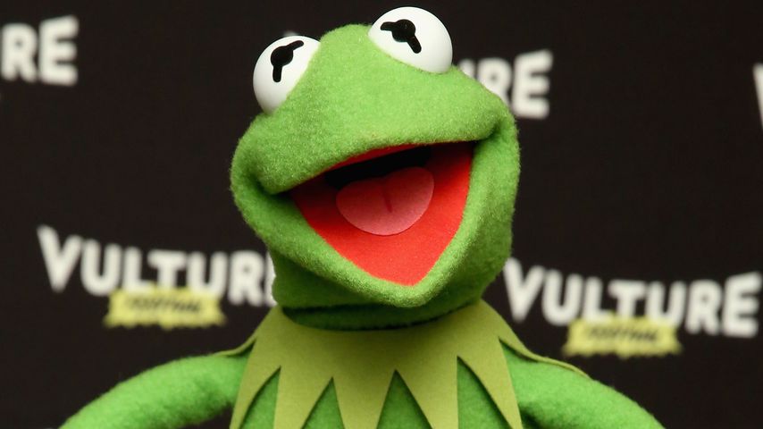 Nach Liebes-Aus: Miss Piggy & Kermit singen "Hello"-Parodie