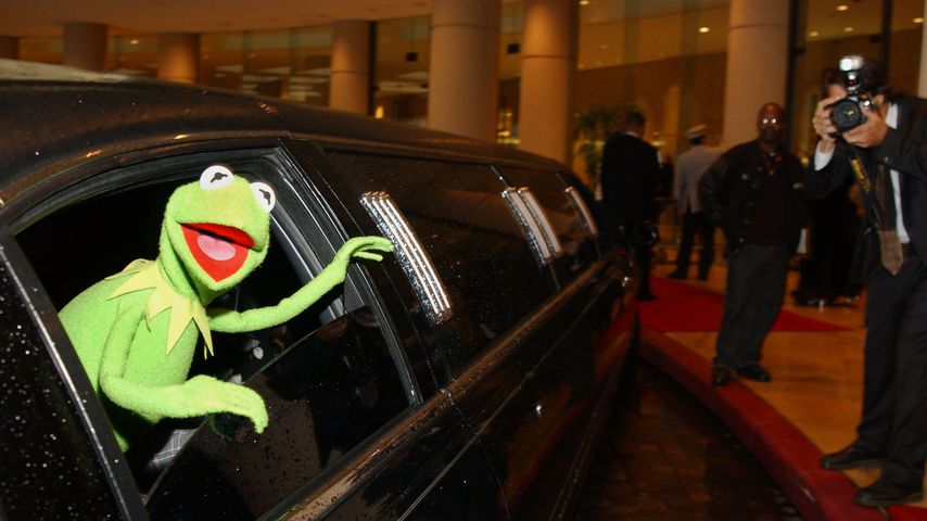 Kermit der Frosch aus der "Muppet Show"