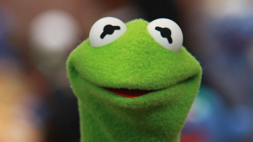 Kermit der Frosch aus der "Muppet Show"