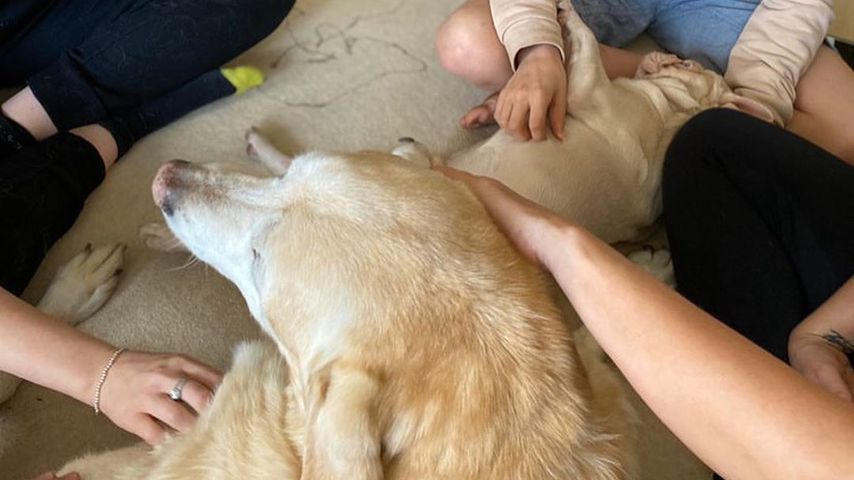 Kerry Katonas Kinder mit Hund Paddy