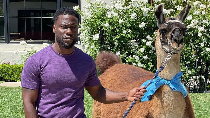 Kevin Hart an seinem Geburtstag im Juli 2021