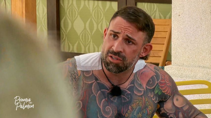 Kevin Wolter bei "Promis unter Palmen" 2026