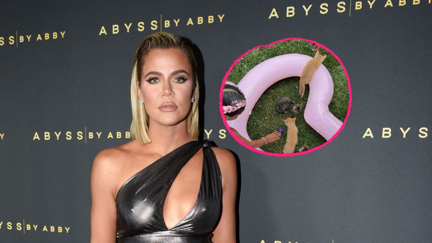 Zu viel? Khloé Kardashian schmeißt Party mit echten Kätzchen