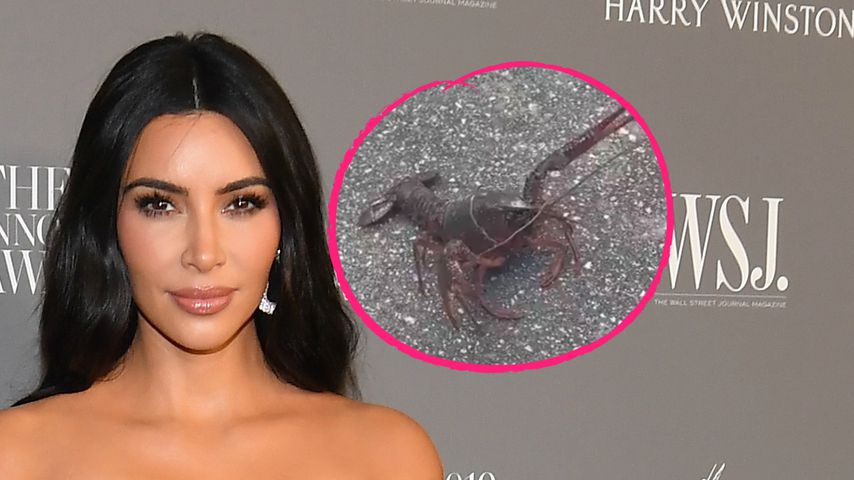 Bei Kim Kardashian kommt der Hummer nicht auf den Teller!