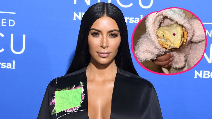 Echse als neues Haustier: Fans kritisieren Kim Kardashian