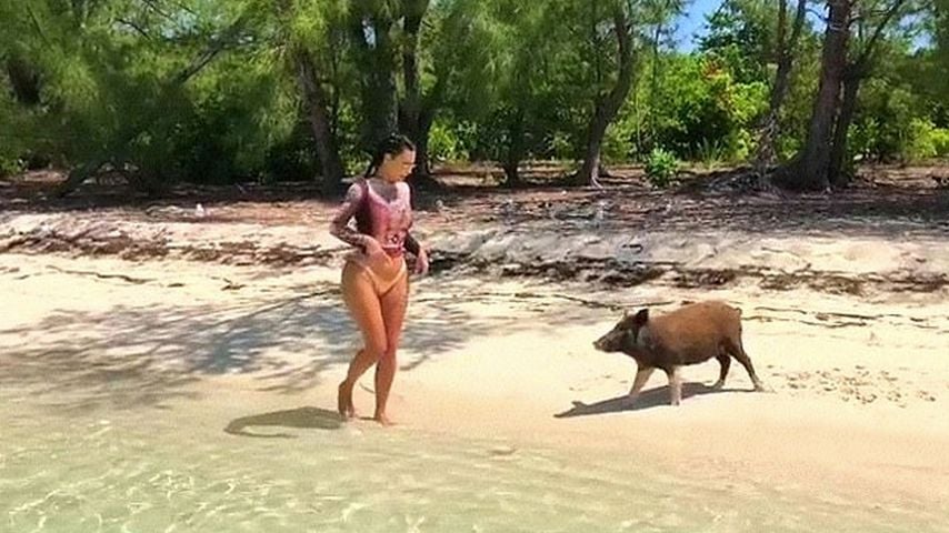 "Hatte Angst": Kim K. trifft berühmte Bahamas-Schweine!