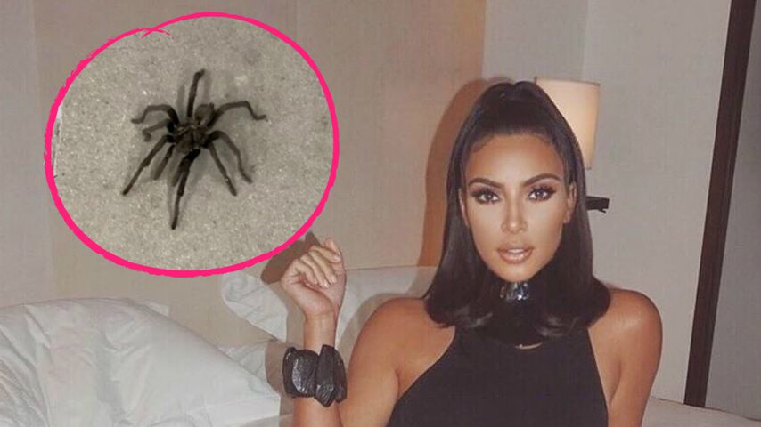 Hilfe! Kim Kardashian findet eine Tarantel in ihrer Garage