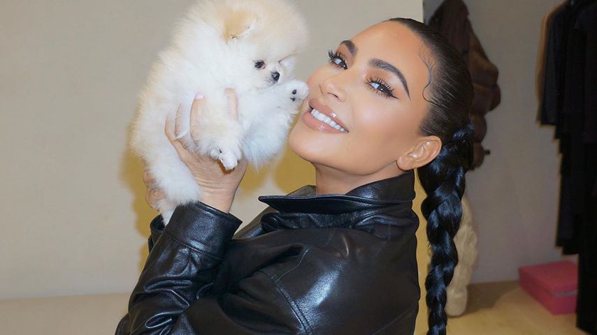 Kim Kardashian mit ihrem Hund