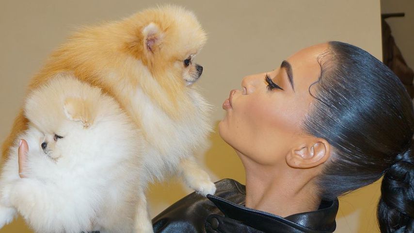 Kim Kardashian und ihre Hunde im Juli 2020