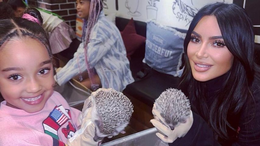 Süß: Kim Kardashian streichelt mit ihren Kids Igel in Japan
