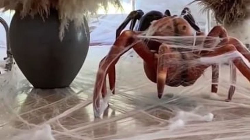 Kim Kardashians Haus an Halloween