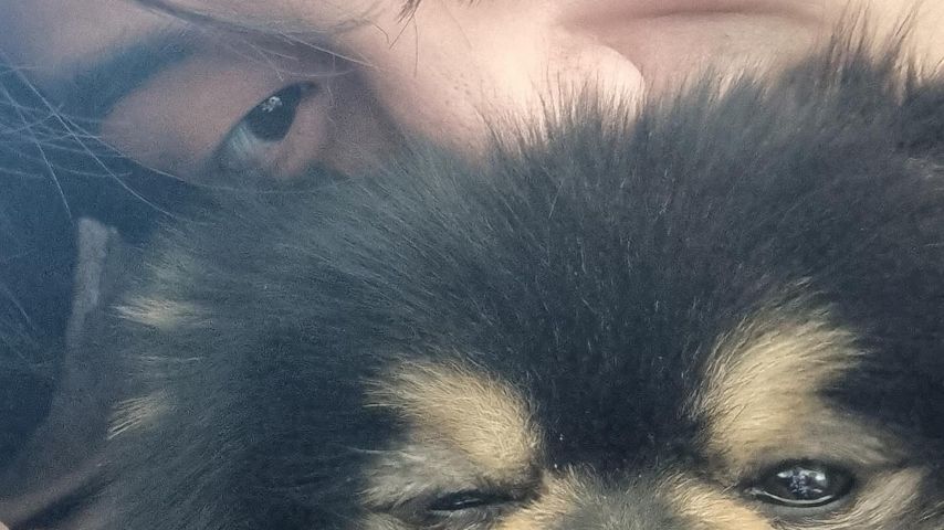 Kim Taehyung mit seinem Hund Yeontan, Instagram, Dezember 2024