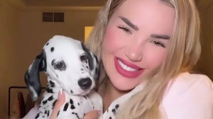 Weltreise mit drei Hunden? Kim Virginia verrät, wie das geht