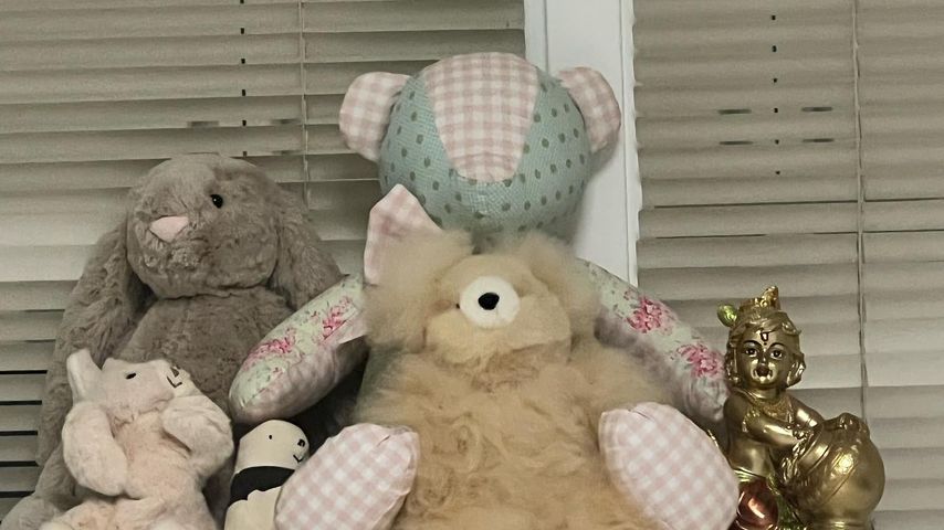 Das Zimmer von Nick Jonas und Priyanka Chopras Baby