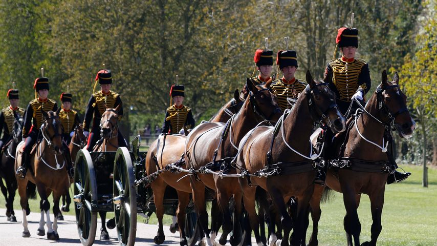 Kings Troop Royal Horse Artillery, April 2021